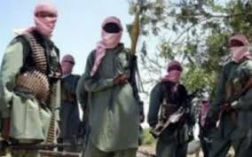 Boko Haram: Presidency Responsible For High Level Of Insurgency